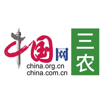 中国网三农