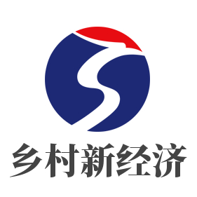 深度时报