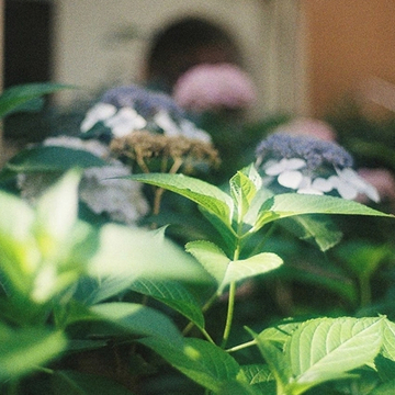 生活焦点观