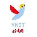 北青网（北京青年报）