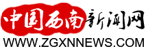 中国西南新闻网